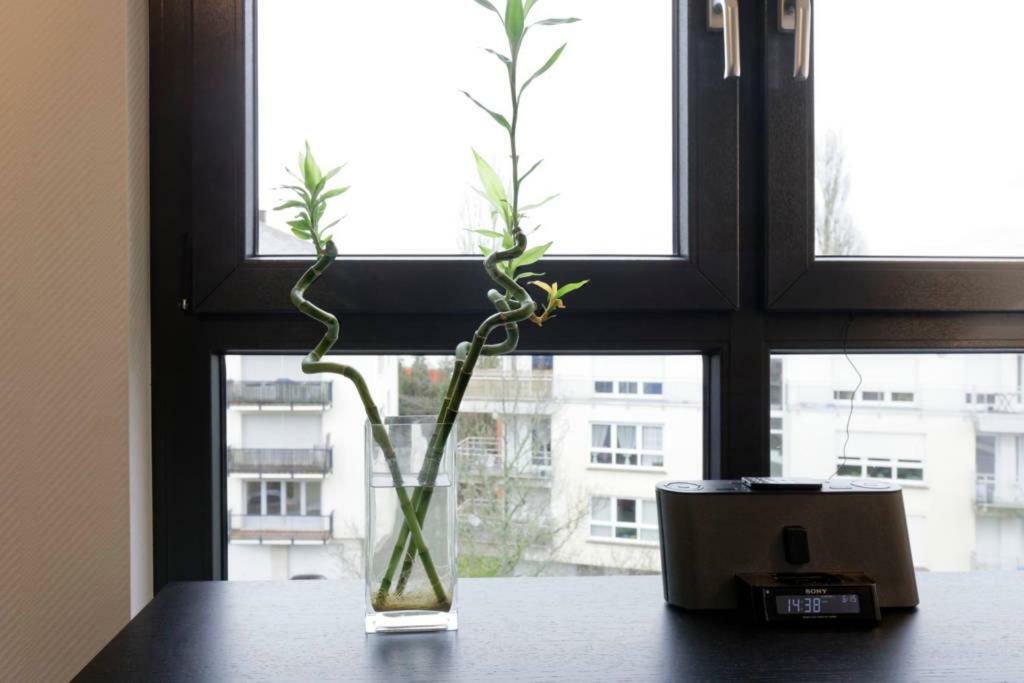 Topfloor Luxembourg Ville Eksteriør billede